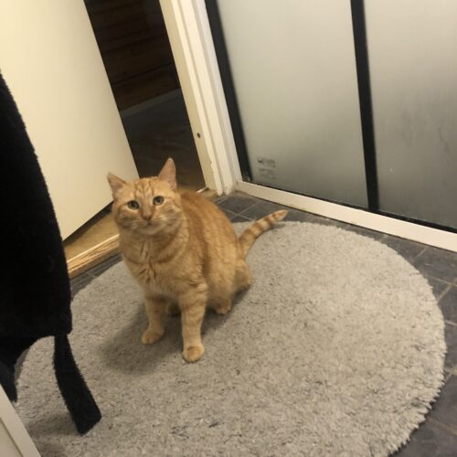 Hilla, Sastamala (varattu)