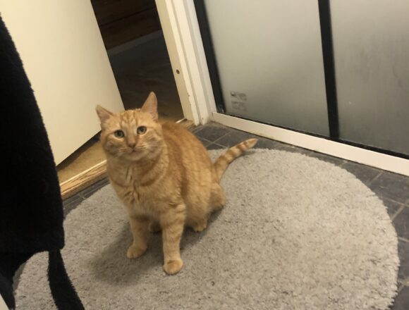 Hilla, Sastamala (varattu)