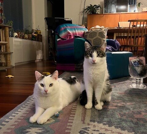 Mansikka ja Vadelma, Helsinki