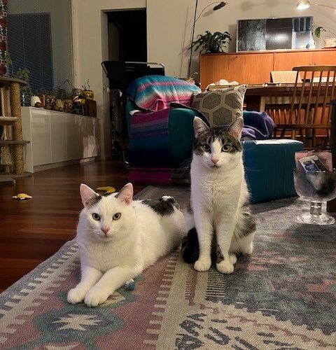 Mansikka ja Vadelma, Helsinki