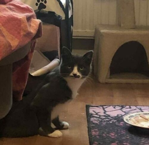 Vieno, Kerava (varattu)