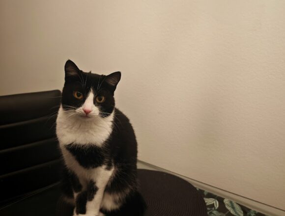 IMG_20251118_214953 Kristiina, Kerava