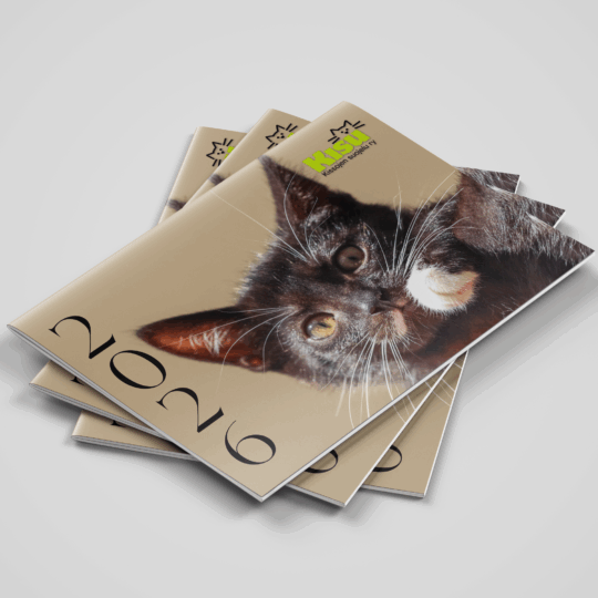 Seinäkalenteri 2026