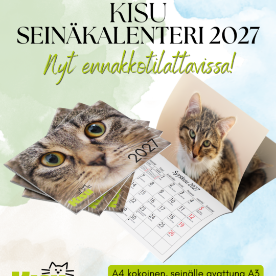 Seinäkalenteri 2027