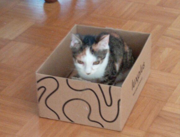 IMG_20260306_125603_edit_2337822111893421 Siideri, Kerava (EI ENÄÄ HAKEMUKSIA KIITOS)