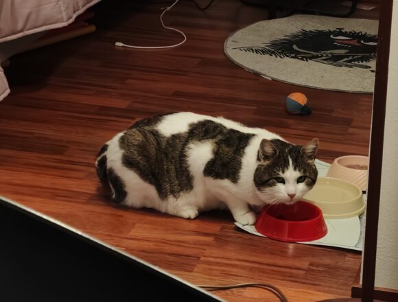 IMG_20251231_122455 Smirnoff, Helsinki