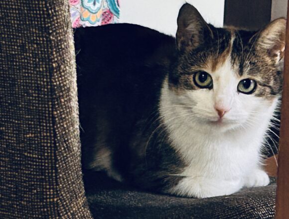 IMG_0266 Marja, Vantaa