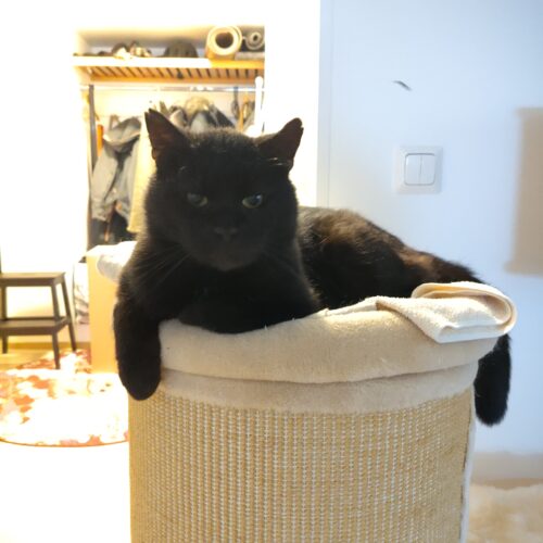 Salmari, Mäntsälä