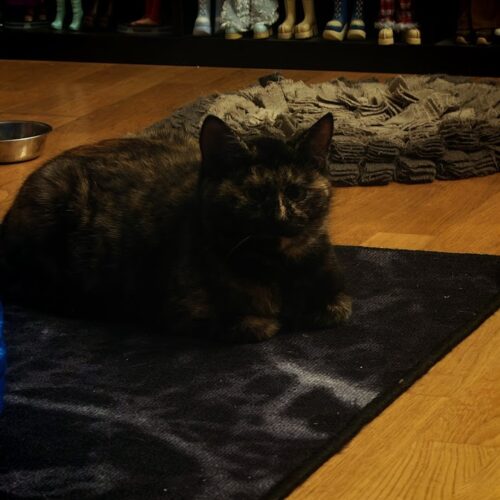 Lyllerö-Anna, Kerava