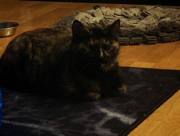 anna1 Lyllerö-Anna, Kerava