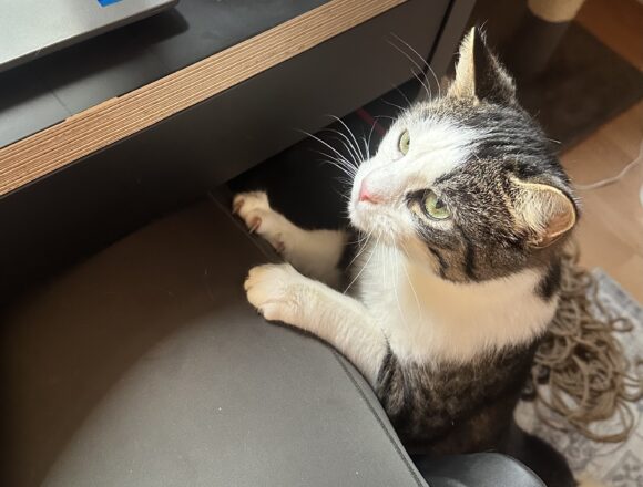 IMG_4611 Ville Vallaton, Tampere